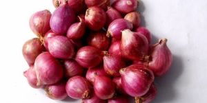 Fresh Small Onion