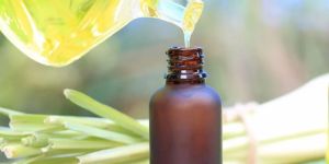 Organic Lemongrass Oil