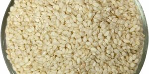 Sesame Seeds