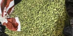 Green Cardamom