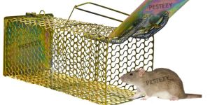 Pestezy Small Rat Trap Cage