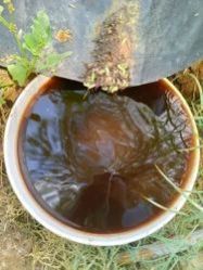 Natural Organic Vermiwash