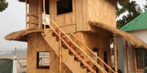 Bamboo Hut Construction Services