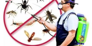 Pest Control Services