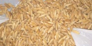 Grains