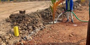 Real Estate Consultancy