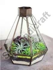 Metal and Glass Terrarium