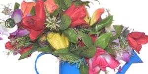 Flower Vase Watering Cans Flowers