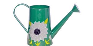 Watering Can Sunflower
