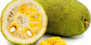 Jackfruit