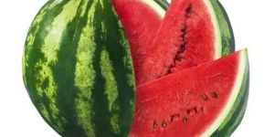 a Grade Watermelon