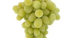 Seedless Green Grapes