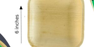 Biodegradable Areca Plate 6 Inch Square