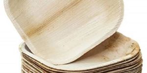 Areca Leaf Plates Square 10 Inch