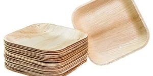 Square 9 Inch Areca Leaf Plates