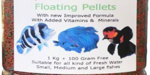 Fish Feed