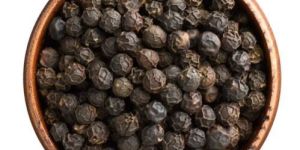 Fresh Black Pepper Seeds
