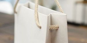 Gift Paper Bag