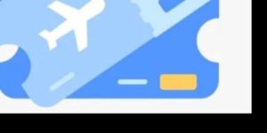 Dummy Flight Ticket