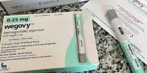 Wegovy Injection