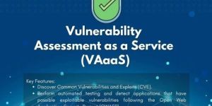 Vulnerability Assessment Service