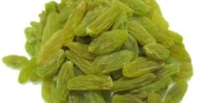 Long Green Raisins