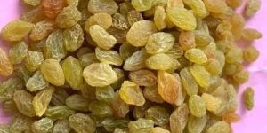 Round Green Raisins