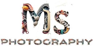 Photography Services