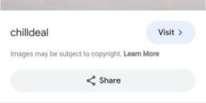 30g Wolifer Pain Relief Gel