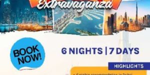 International Tour Packages