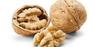 Fresh Kashmiri Walnuts