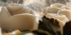 Rose Fragrance Candle