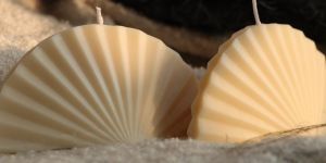 Shell Fragrance Candle