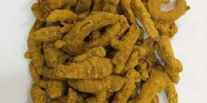 Organic Unpolished Turmeric Finger