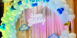 Birthday Party Organisers