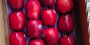 Washington Aaa Class 1 Apple