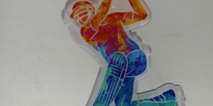 Custom Acrylic Cricket Trophy