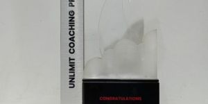 Custom Acrylic Trophy Award