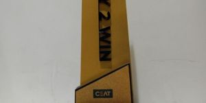 Play 2 Win Custom Wooden Trophy