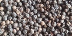 Black Pepper