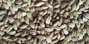 Cardamom Seeds