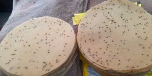Plain Papad