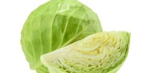 Fresh Cabbage