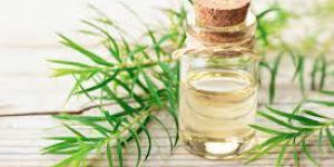 Tea Tree Oil