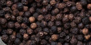 Black Pepper