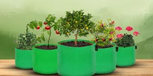 Grow Bags