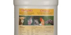 D Cal Plus Vitamin D Supplement