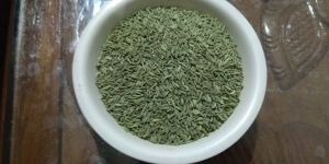 Green Fennel Seed