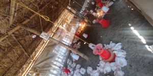 Poultry Farming