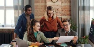 Web Portal Development